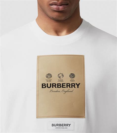 burberry t shirt price in usa|burberry shirt cost.